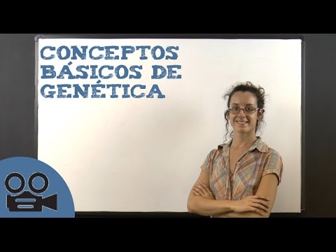 Historia y conceptos básicos de la genética: una introducción completa.