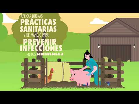 Enfermedades vírales en los animales: un peligro latente a evitar.