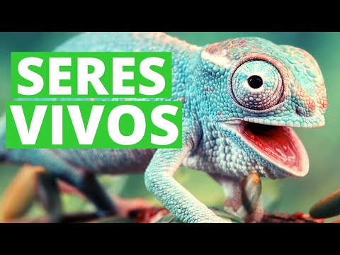 ¿Qué características de los seres vivos estudia la biología?