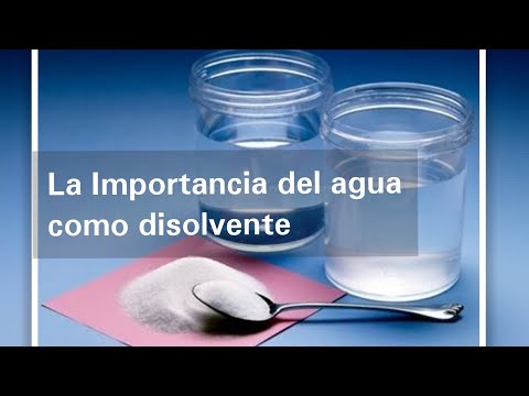 Características del agua: un solvente universal de múltiples propiedades.