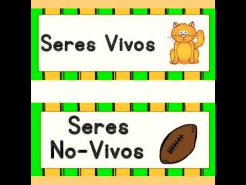 Características de los seres vivos en el preescolar: una descripción.