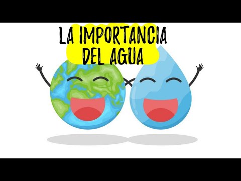 ¿Cuál es la importancia del agua en el planeta y por qué?