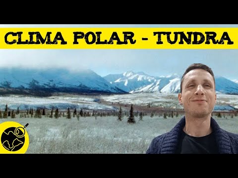 Característica de los climas polares: vuelve a escribir este título