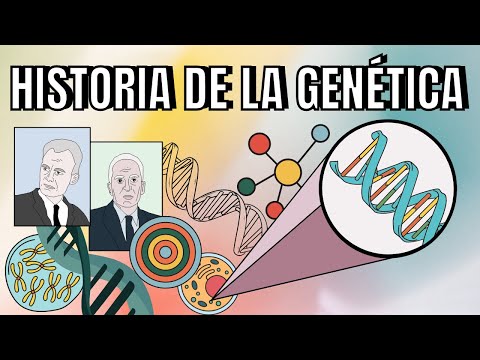 Línea del tiempo de la historia de la genética: Una visión general