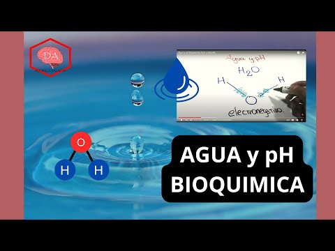 La disolución de una sustancia en agua y la liberación de iones hidrógeno