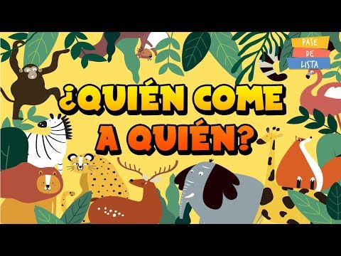 Cómo se forma la cadena alimentaria en un ecosistema