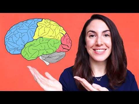 Funciones de los lóbulos cerebrales: un análisis detallado en 10 palabras