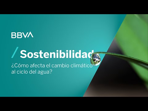 Cómo la contaminación afecta el ciclo del agua