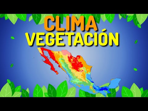 Descubre dónde encontrar clima cálido y abundante vegetación en las montañas