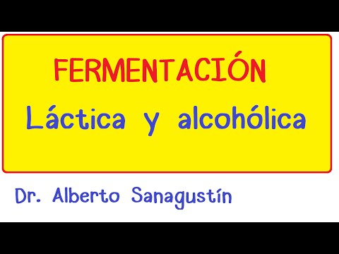 La ecuación de la fermentación alcohólica: un proceso químico esencial