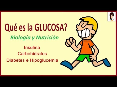 Cómo se produce la glucosa en el cuerpo: un análisis detallado