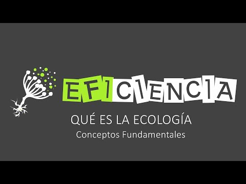 La ecología: ciencia que estudia el medio ambiente y sus interacciones.