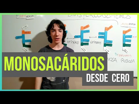 ¿Cuál es el monosacárido más importante en nuestra alimentación?