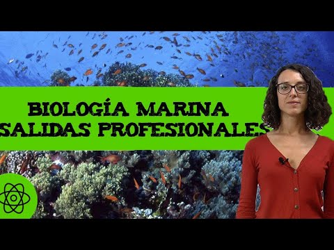 Descubre en qué consiste la biología marina: fascinante estudio.