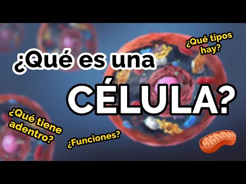 ¿Qué organelos son necesarios para que las células puedan moverse?