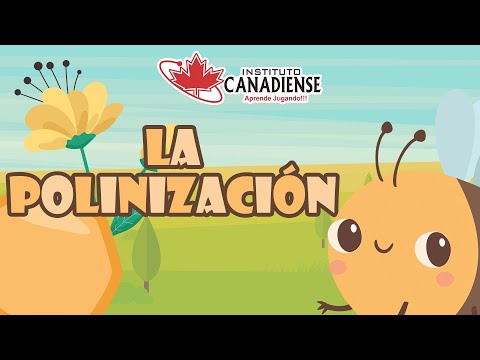 Cuál es el proceso de la polinización en las plantas