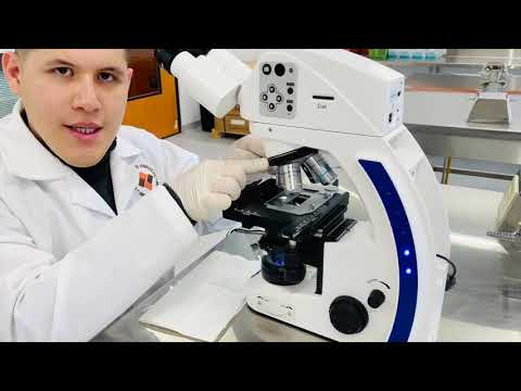 El uso del microscopio en el laboratorio: una herramienta indispensable