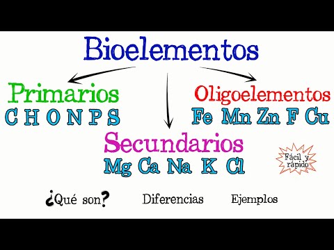 Los elementos biogenéticos: fundamentales para la vida en el planeta.