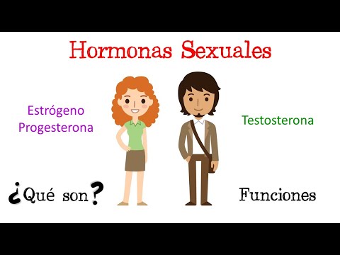 Producción de óvulos: Las gónadas femeninas y su función clave