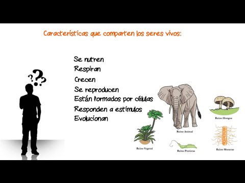 Comparación de características comunes de los seres vivos: un estudio.