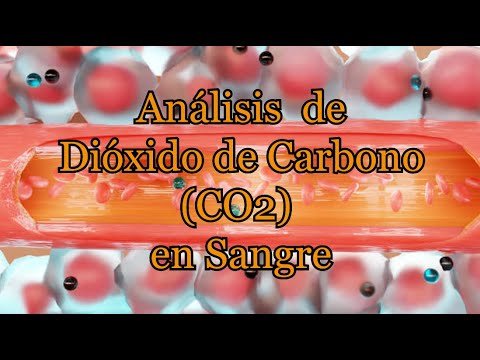 Efectos del dióxido de carbono en el ser humano: un análisis detallado