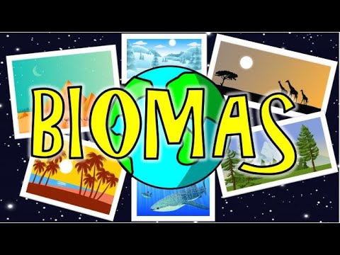 Tipos de biomas y sus características: una guía completa.