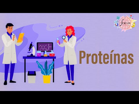 Características estructurales de las proteínas: un análisis detallado.
