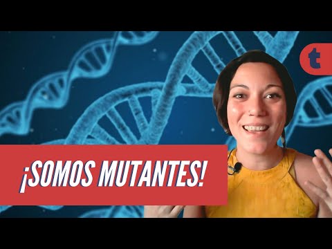 Mutaciones genéticas: un vistazo a los cambios en los seres vivos.