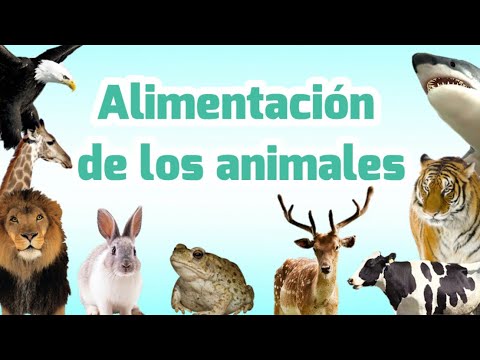 ¿Cómo se llaman los animales que comen sangre?