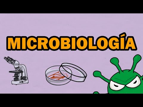 La rama de la biología que estudia las bacterias: microbiología.