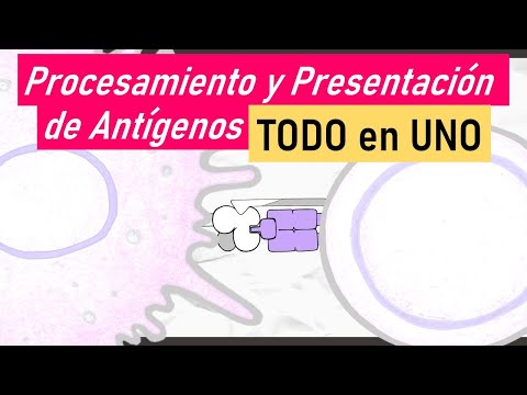 Procesamiento y presentación de antígenos: clave en la respuesta inmunológica