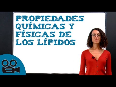 Propiedades físicas y químicas de los lípidos: una revisión completa