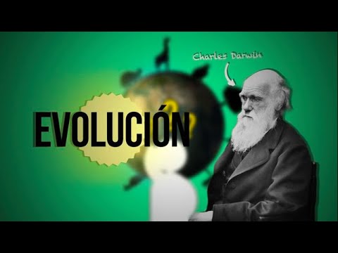 Evolución de los seres vivos: ejemplos y su importancia