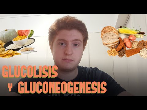 Diferencia entre glucólisis y gluconeogénesis: ¿Cuál es la distinción?