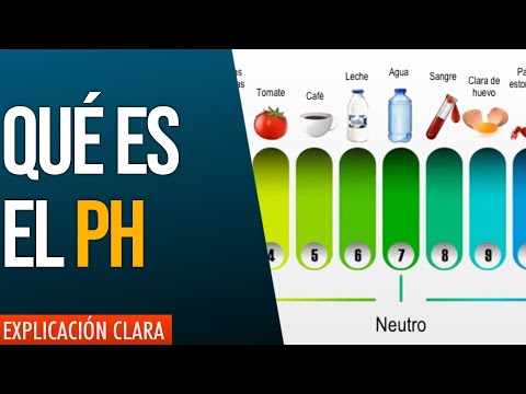 ¿Qué son los ácidos, las bases y el pH?