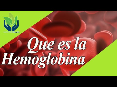 ¿Qué tipo de proteína es la hemoglobina?