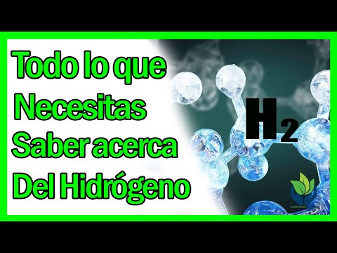 La importancia del hidrógeno en los seres vivos