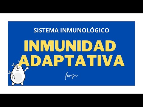 Componentes de la inmunidad adaptativa: una mirada en profundidad