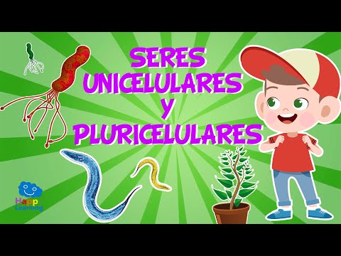 Características esenciales de los organismos unicelulares y su relevancia