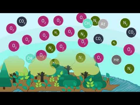 Gases y componentes esenciales en la formación del aire.