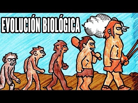 Principios de la Evolución Biológica: Un Análisis en Profundidad