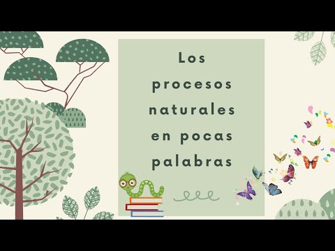 Cuáles son los dos procesos naturales que afectan la Tierra