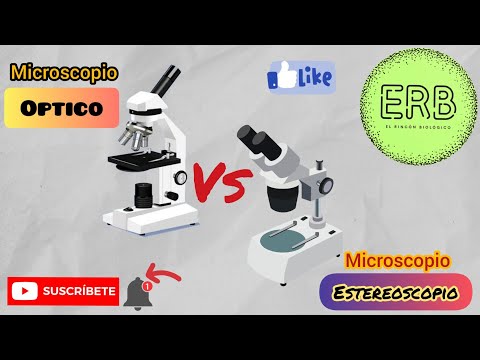 Diferencia entre microscopio óptico y electrónico: una comparación detallada.