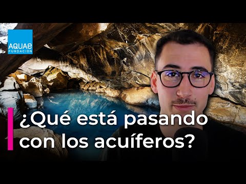 Importancia de los mantos acuíferos en el ecosistema