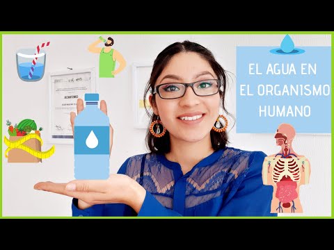 El agua en el cuerpo humano: sus funciones y beneficios.