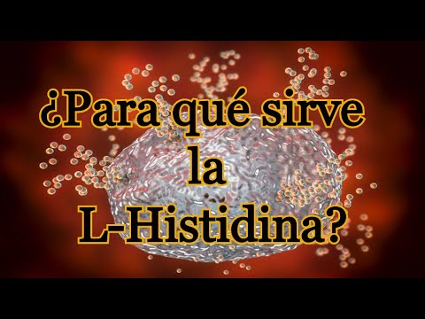 La estructura química de la histidina: un análisis detallado.