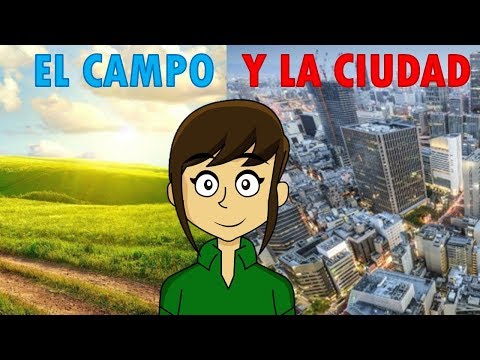 Grupo de ecosistemas con clima común y comunidades similares en común