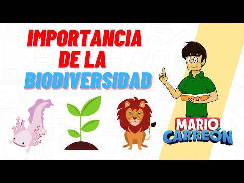 Importancia de estudiar biología: un análisis necesario para comprender nuestra naturaleza.