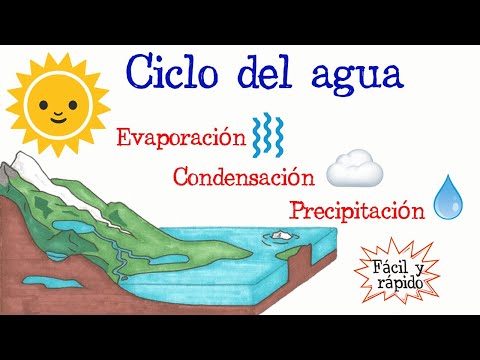 Cómo se lleva a cabo el ciclo del agua: una explicación detallada