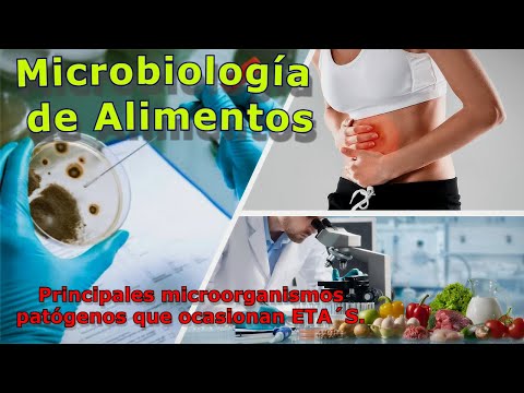 Los tipos de microorganismos predominantes en el aire: una exploración.